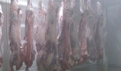 Sığır kesim fiyatları 2026 – İl il güncel piyasa yorumları