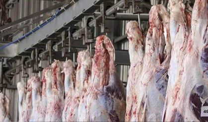 Kayseri’de büyükbaş kesiminde yeni dönem: Mezbahalarda yağ uygulaması değişti