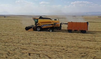 TÜRİB Elüs Piyasasında arpa, mısır ve makarnalık buğday yükseldi