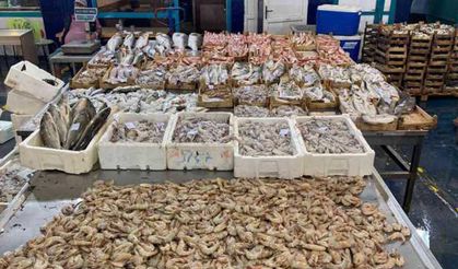 Kocaeli Balık Hali’nde Vali Bereketi