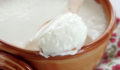 Yoğurt Hakkında Genel Bilgiler