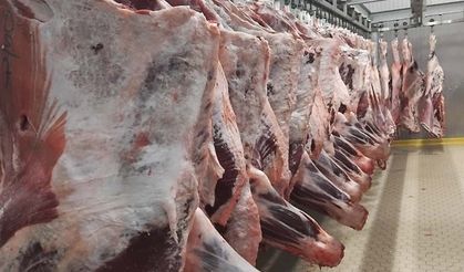 Ette "Dünya Fiyatı" yanılgısı: 8 dolarlık ithalat, sofraya nasıl "Lüks" olarak dönüyor?