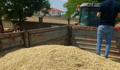 Konya’da kuraklık alarmı: 256 dekardan sadece 1 ton arpa çıktı