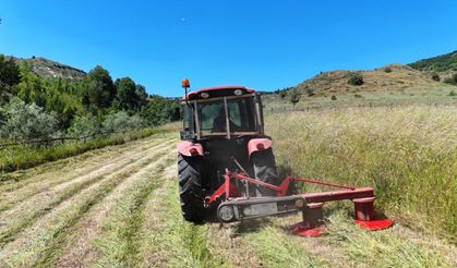 TÜİK verileri açıkladı: Zonguldak tarımında üretim dengesi değişiyor