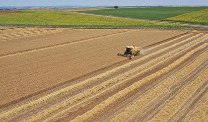 Tokat’ta tarımsal üretim ne yönde ilerliyor? Son 4 yılın verileri açıklandı