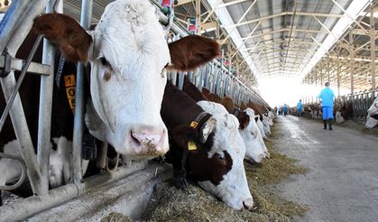 Tabii tohumlamada yeni dönem: Üreticiyi ilgilendiren 10 kritik kural