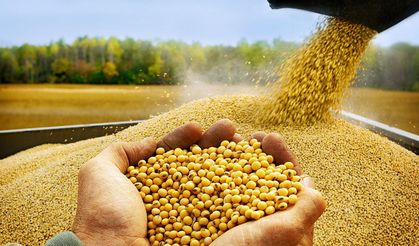 Günaydın’dan çarpıcı soya çıkışı: “19,4 milyar doları soyaya ödedik, yeterlilik oranı sadece yüzde 6