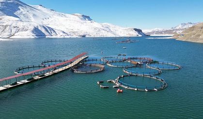 Denizli’de alabalık eğitim programı düzenlendi