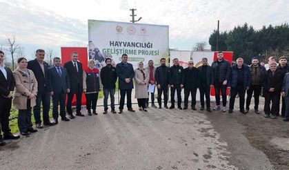 Düzce’de manda yetiştiriciliğine damızlık boğa desteği