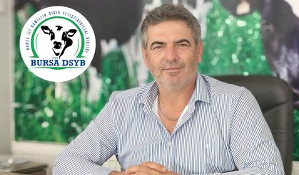 Bursa DSYB’den üreticiye 1400 liralık buzağı desteği