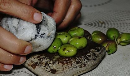 Evde kırık zeytin nasıl yapılır?