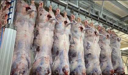 Sığır kesim fiyatları 2026: 27 Şubat inek, dana ve düve kesim fiyatları belli oldu