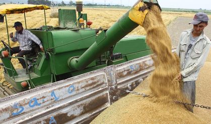 Hububat fiyatlarında kritik sinyal: 16 Şubat 2026 borsa rakamları ne söylüyor?