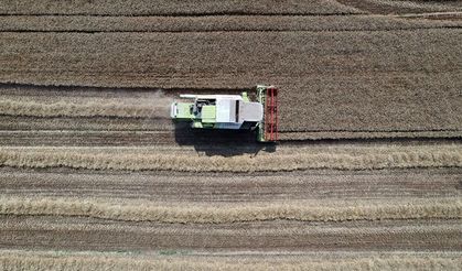 2025 sertifikalı tohum kullanım desteği 2. ödeme icmalleri askıya çıkarıldı