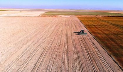 Buğday, arpa ve mısır fiyatları haftaya nasıl başladı? (2 Mart 2026)