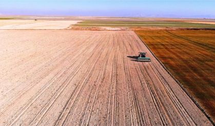 Arpa geriledi, makarnalık uçuşta! İşte borsadaki yeni tablo (23 Mart 2026)