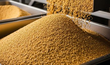 Yağlı tohum ve küspe piyasasında son durum: Ayçiçek ve zeytinyağı fiyatları cep yakıyor!