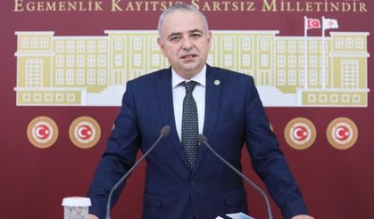 Zeytinyağında teneke krizi: Üretici yorgun aklımızla dalga geçmeyin!