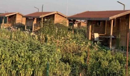 Bakan Yumaklı ile görüştü, Meclis'i işaret etti: Hobi bahçelerine "Torba Kanun" affı mı?