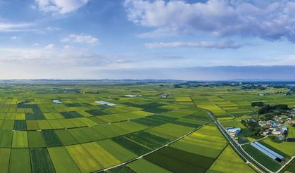 Ankara'da o mahalle için karar çıktı: Zorunlu arazi toplulaştırması başlıyor!