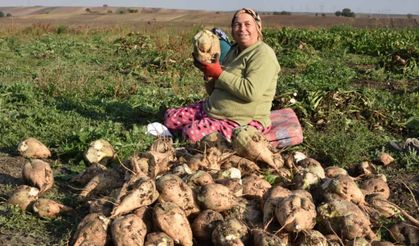 Şeker sektörünün 'kritik' sözlüğü: A, B, C kotaları ve perde arkasındaki gerçekler!
