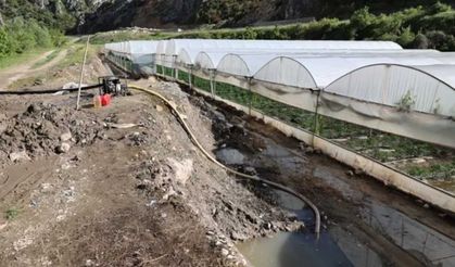 Yeşilırmak kabardı, Amasya’da seraları su bastı: Hasar tespit çalışmaları başladı