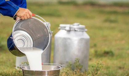 Avrupa süt piyasasında fiyat şoku: Üretici zararda!