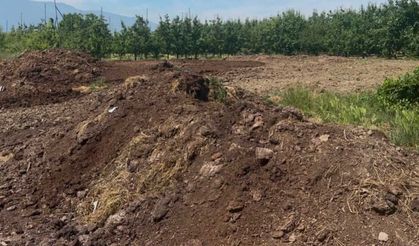 Hayvansal gübre fiyatları arttı mı? Kimyasal gübredeki zamlar sonrası gözler doğal alternatife çevrildi