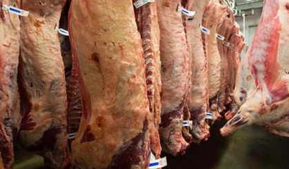 Karkas kesim fiyatlarında hareketlilik: ESK'nın zammı sonrası üretici 700 liranın üzerini konuşmaya başladı