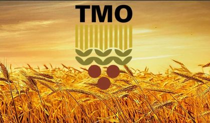 TMO hububat alım fiyatları için kritik hafta: Çiftçinin gözü Haziran ilk haftasında