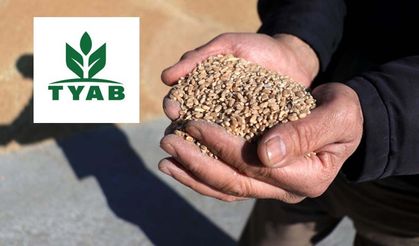 Tohum Yetiştiricileri Alt Birliği (TYAB) nedir? Görevleri, üyelik yapısı ve faaliyetleri