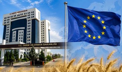 Tarım Bakanlığının görünmeyen gücü! Avrupa Birliği ve Dış İlişkiler Genel Müdürlüğü çiftçiyi neden ilgilendiriyor?