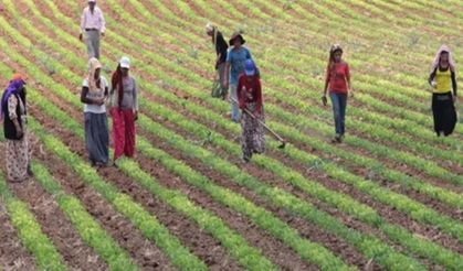 Taahhütnameyle ÇKS'ye kayıt yaptıran çiftçiler dikkat! Askı süreci başladı