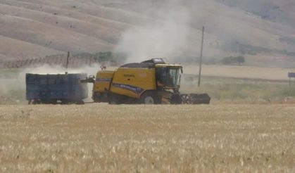 TMO fiyatı piyasada karşılık bulmadı! Hububatta makas büyümeye devam ediyor