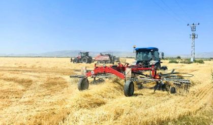 USK'nın hesabında saman sürprizi: Fiyat bir ayda yüzde 32 geriledi