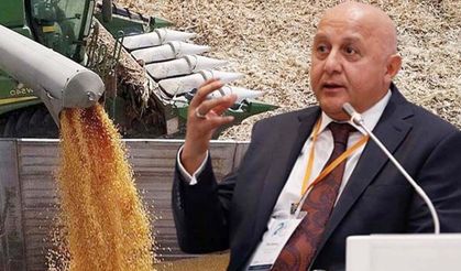 Karadeniz'deki savaş yem sektörünü vurdu: "İkinci Tahıl Koridoru" çağrısı