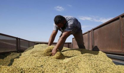 Tarım fiyatlarının görünmeyen yüzü! ABD-Çin rekabeti soya ve mısır piyasasını nasıl değiştiriyor?