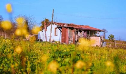 Tarım arazilerinde bağ evi şartı değişti! 5 hektar sınırı 2 hektara indirildi