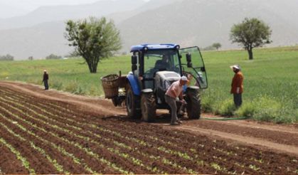 Dünya tarımında dengeler bozuldu! Bir ülkede ürün yok, diğerinde alıcı yok