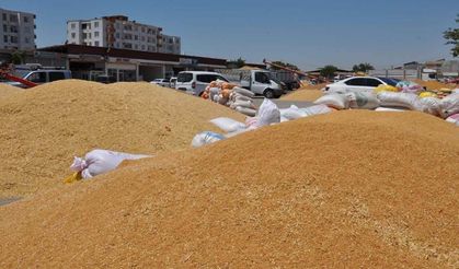 Hububat fiyatlarında Ağustos tablosu: Buğday yükseldi, arpa günlükte geriledi, çavdar ve yulaf öne çıktı