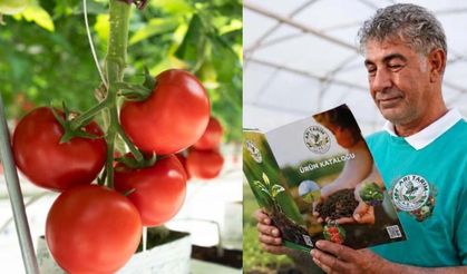 Afyonkarahisar’a yapılacak 300 dönümlük dev sera yatırımı Konya’ya kaydırıldı