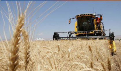 Buğday, arpa ve mısır fiyatlarında son durum: Hangi ürün yükseldi, hangisi düştü?