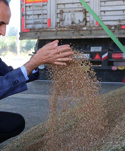 Bolu'da TMO'nun buğday alımı heyecanlı başladı randevular şimdiden doldu!