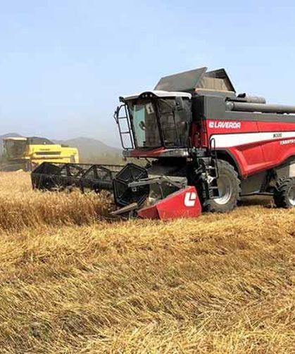 Hububat fiyatları haftaya nasıl başladı? 18 Kasım buğday, arpa ve mısır fiyatları!