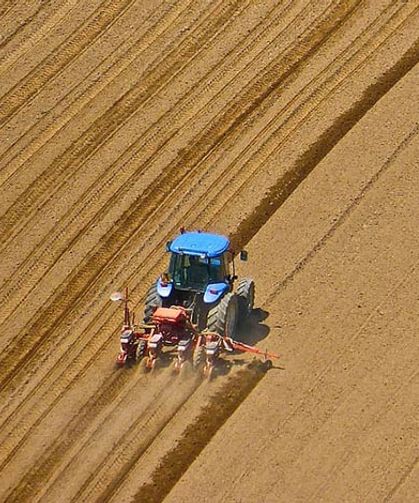 Buğday fiyatları kaç lira oldu? 28 Kasım 2022 Ticaret Borsaları ve TÜRİB hububat fiyatları