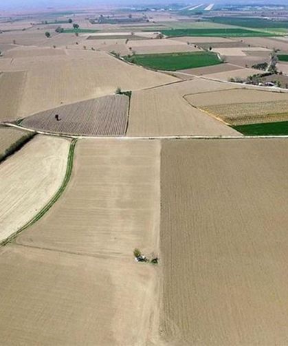 Mısır fiyatları yükselişini sürdürüyor! Güncel (19 Eylül) hububat fiyatları...