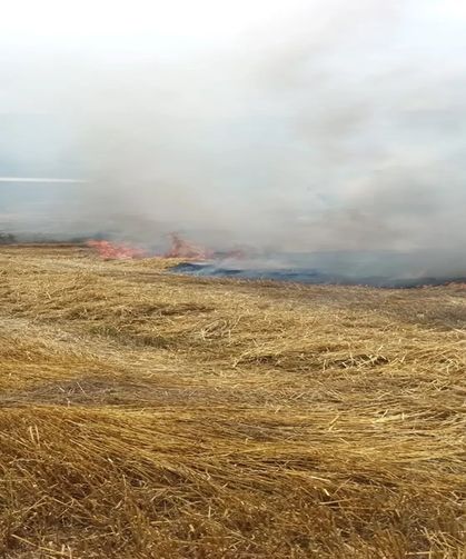 Bolu'da çiftçiyi kahreden olay! Balya yapılmayı bekleyen buğday sapları yandı