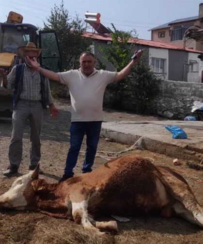 Şap hastalığı Göle’de felakete dönüştü: "6 hayvanım öldü, ahır boşaldı!"