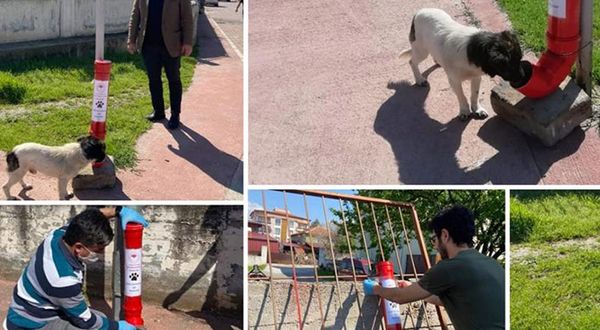 Tarım İl Müdürlüğü salgında sokak hayvanlarını unutmadı