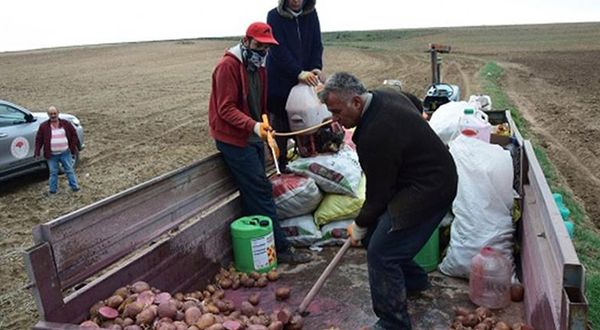 Yozgat’ta patates deneme ekimi yapıldı